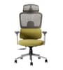 Sama Pro Korean Mesh Office Chair with Seat Slider and 4D Armrests in Green Colour