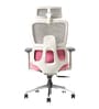 Sama Pro Korean Mesh Office Chair with Seat Slider and 4D Armrests in Pink Colour