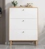 Sanctum 3 Door Drawer Wooden Shoe Organizer Cabinet