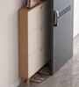 Sanctum 3 Door Drawer Wooden Shoe Organizer Cabinet