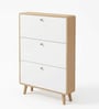 Sanctum 3 Door Drawer Wooden Shoe Organizer Cabinet