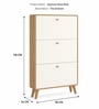 Sanctum 3 Door Drawer Wooden Shoe Organizer Cabinet