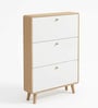 Sanctum 3 Door Drawer Wooden Shoe Organizer Cabinet