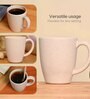 Sand Castle Classic Coffee Mug 300 ml (6 Pc)Rice Husk Biocomposite