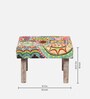Sandford Ottoman Set Of 2 In Multicolour