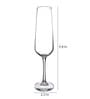 Sandra 200ml (Set of 6) Champagne Glass