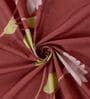 Brown Floral 180 TC Cotton King Sized Bedsheet With 2 Pillow Covers