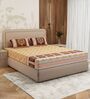 Mustard Floral 180 TC Cotton King Sized Bedsheet With 2 Pillow Covers