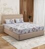 Grey Ornamental Block 180 TC Cotton King Sized Bedsheet With 2 Pillow Covers