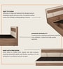 Sappora King Size Bed in Bella Noce & Highland Pine Color with Hydraulic Storage
