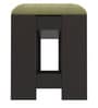 Sarah Shoe Rack with Cushion in Wenge Finish