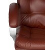 Satae Executive Chair in Tan Colour