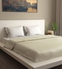 Cream Solid 100% Cotton Double Bed Duvet Cover  