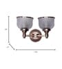 Satin Steel Double Wall Sconce with Rimmed Glass Shades