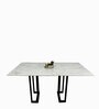 Satvario Metal 6 Seater Dining Table in White & Grey Finish with Marble Top