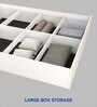 Satya  Queen Size Upholstered Bed In Blue Colour & White Colour With Box Storage