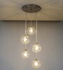Savannah Modern Five-Light Ceiling Pendant In Stainless Steel With Clear Glass Shade