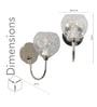 Savannah Modern Single-Light Wall Lamp In Stainless Steel With Clear Glass Shade
