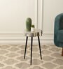Sawed Log Metal End Table in Silver Colour