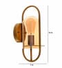Diagon Brass Glass and Metal Novelty Wall Light