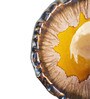 Scalloped Multicolor Stoneware Serving Bowl