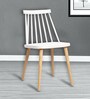 Scandinavian Plastic Dining Chairs in White Colour