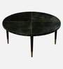 Scarlett Coffee Table In Green Finish