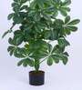 Artificial Schefflera Plant with Pot