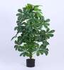 Artificial Schefflera Plant with Pot