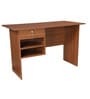 Scholarhub Brown Colour Office Desk In Walnut Finish Scholarhub Brown Colour Office Desk In Walnut Finish