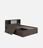 Scout Queen Size Bed in Dark Wenge Finish with Box Storage