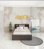 Scout Queen Size Bed in Dark Wenge Finish with Box Storage