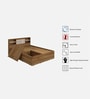 Scout Queen Size Bed in Lyon Teak Finish with Box Storage