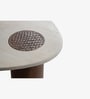 Sculpt Coffee Table In Walnut Finish