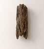 Sculptural Golden Textured Wall Sconce