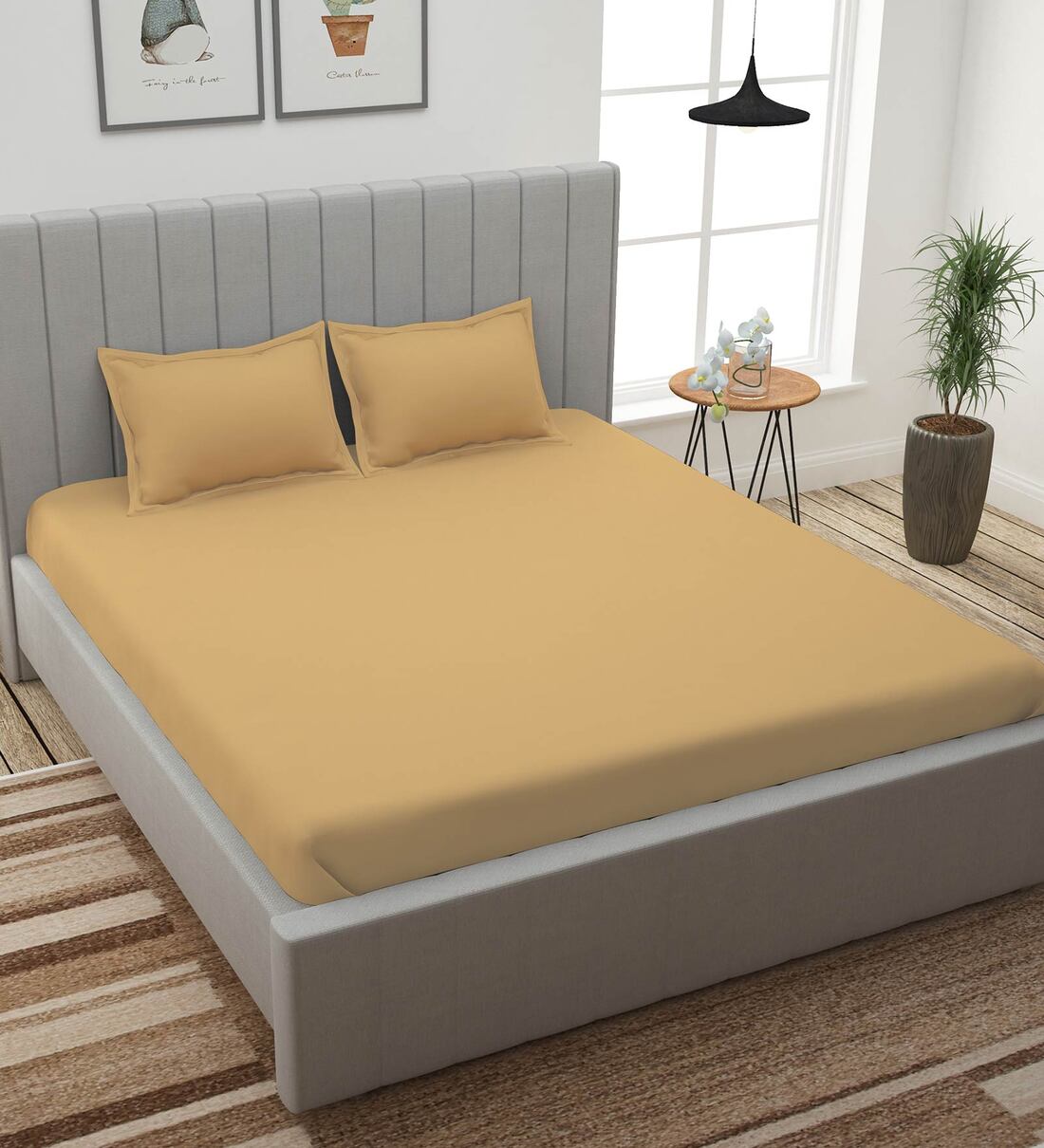 Buy Beige Solid 210 TC 100 Cotton King Sized Bed Sheets with 2 Pillow