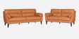 Sereno Leather Fabric 2 Seater Sofa Set In Brown Colour