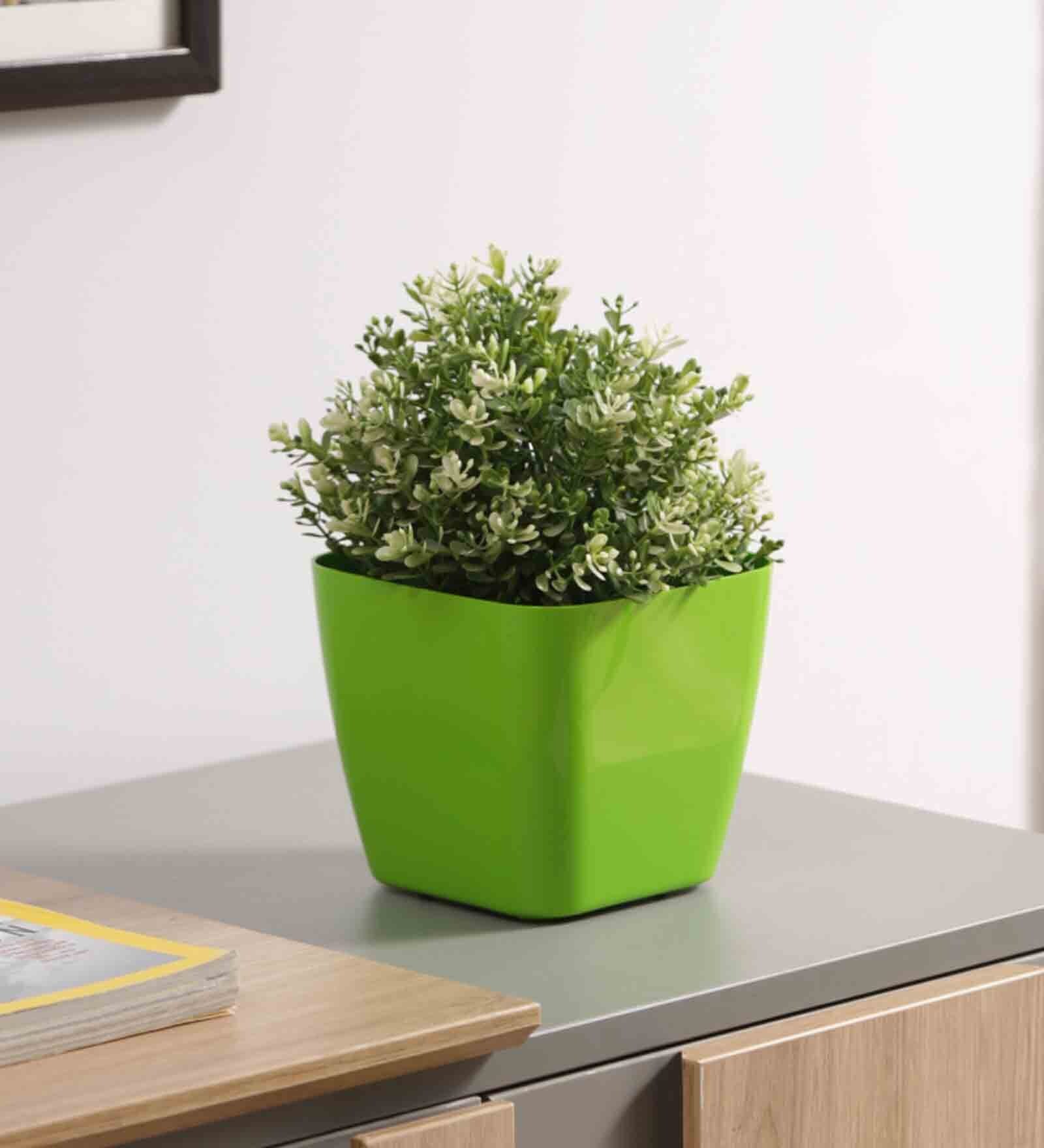 Buy Plastic Green Flower Desk Pots at 27% OFF by Planters | Pepperfry