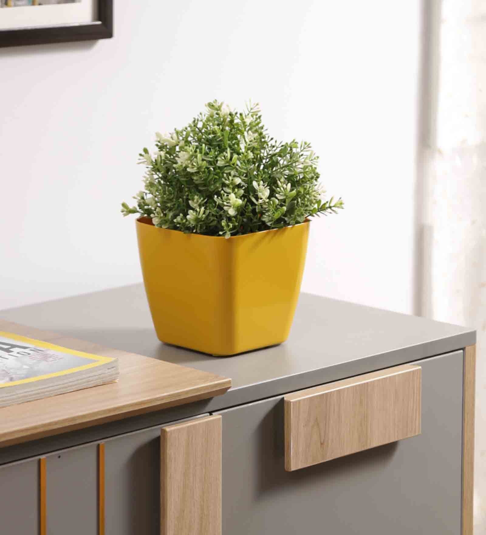 Buy Plastic Yellow Flower Desk Pots at 27 OFF by Planters Pepperfry