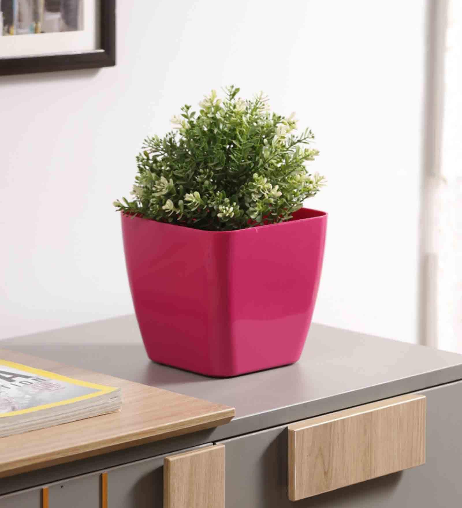 Buy Plastic Pink Flower Desk Pots at 8 OFF by Planters Pepperfry