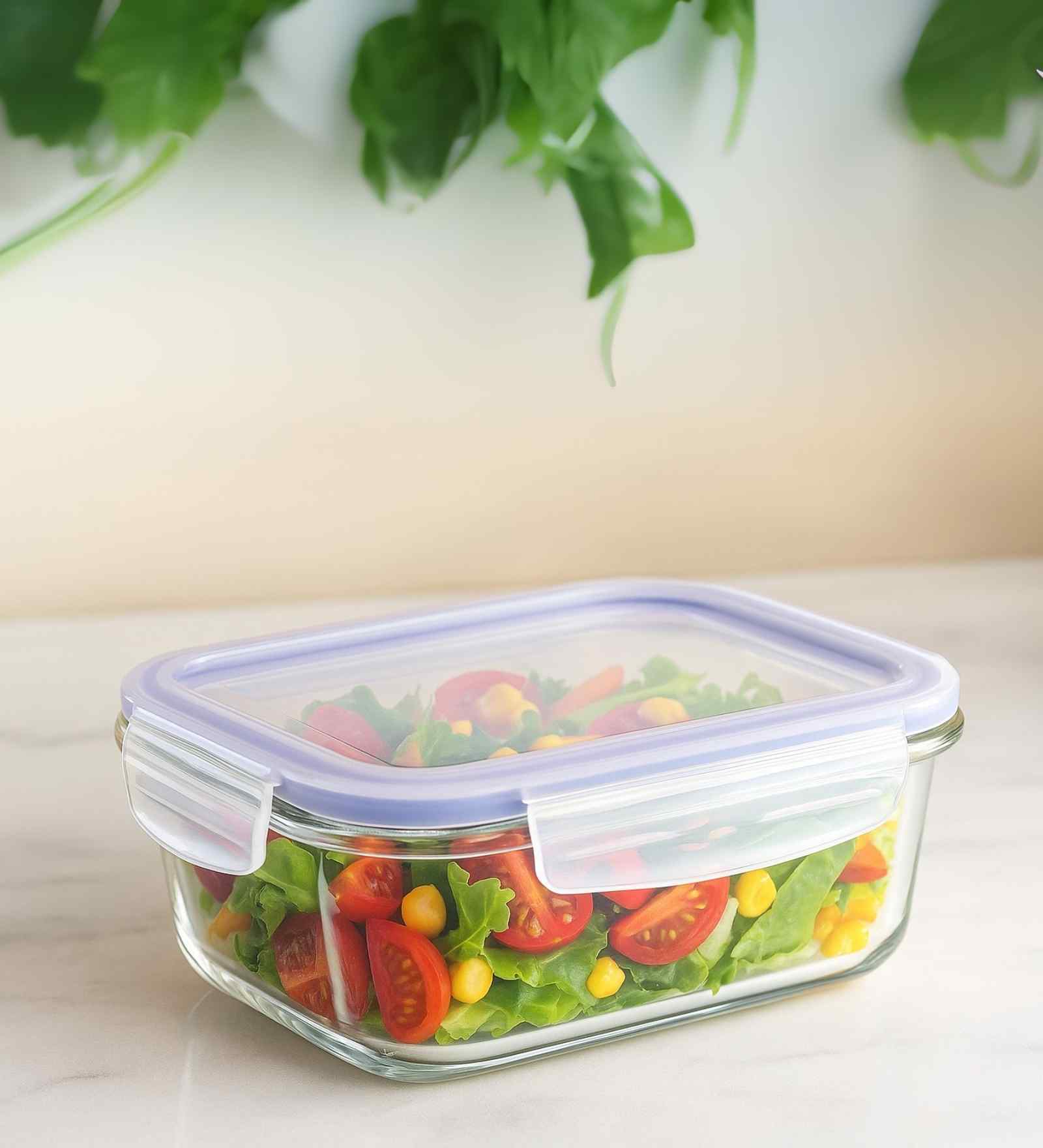 Set of 1 Borosilicate 1300ml Lunch Box