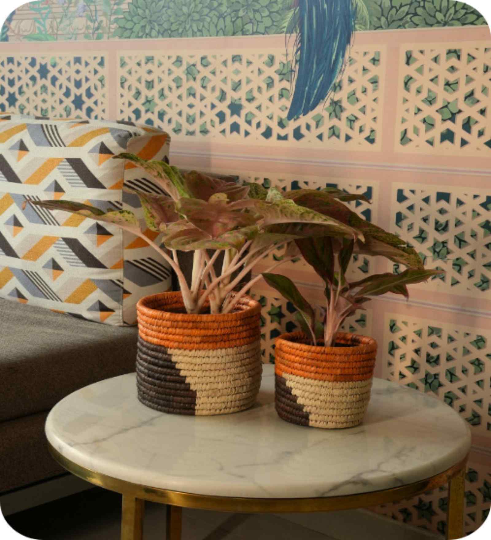 Set Of 2 Brown Sabai Grass Haven Of Husk Plant Holder