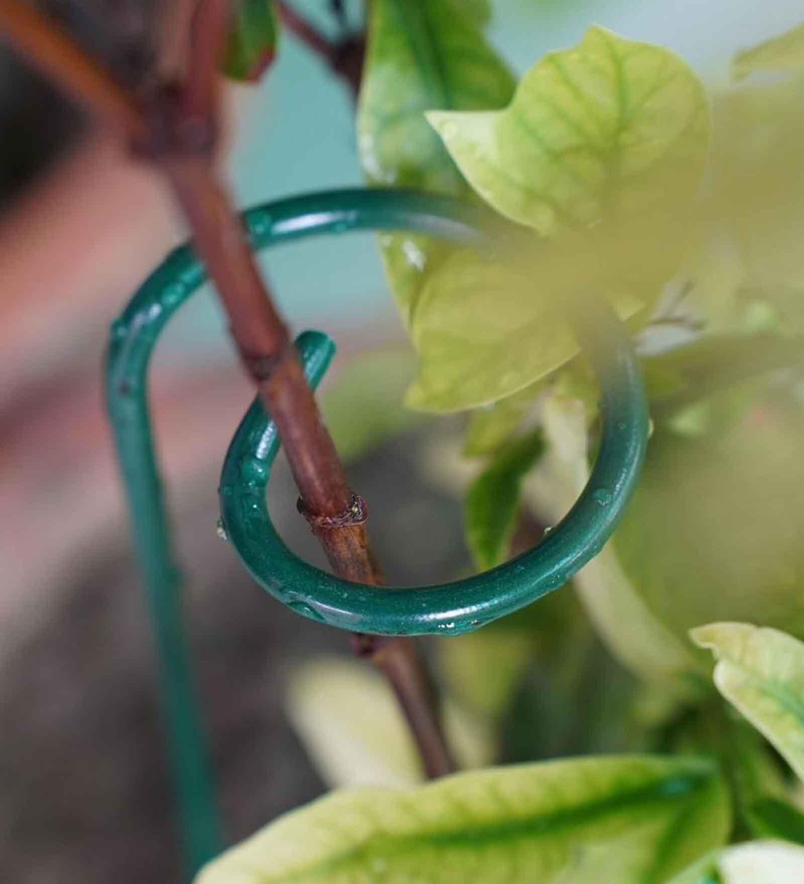 Set of 2 Metal Plant Support Sticks