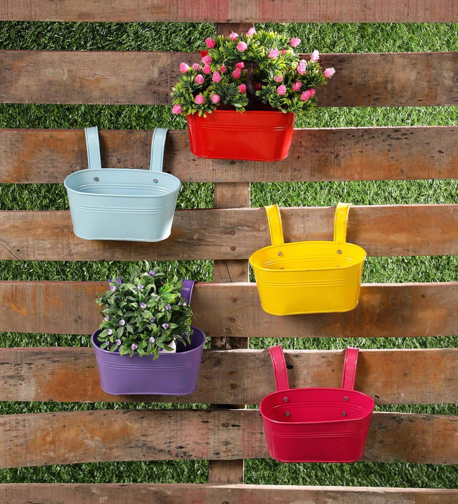 Buy Multicolour Galvanized Iron Oval Railing Planter, Set of 5 by Green