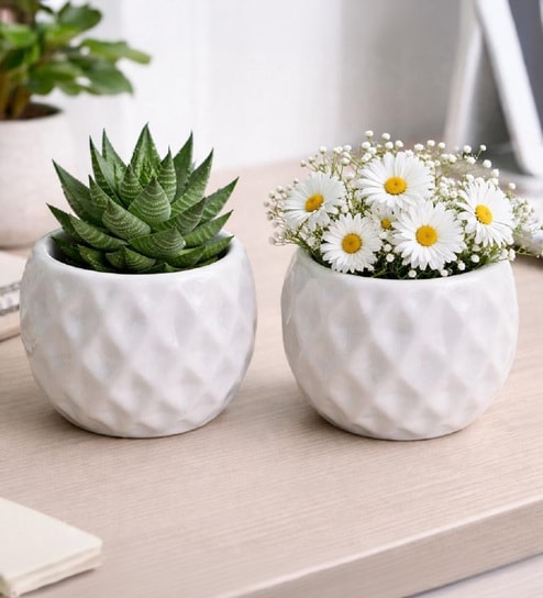 Set of 2 Diamond Texture Ceramic Planter Pot
