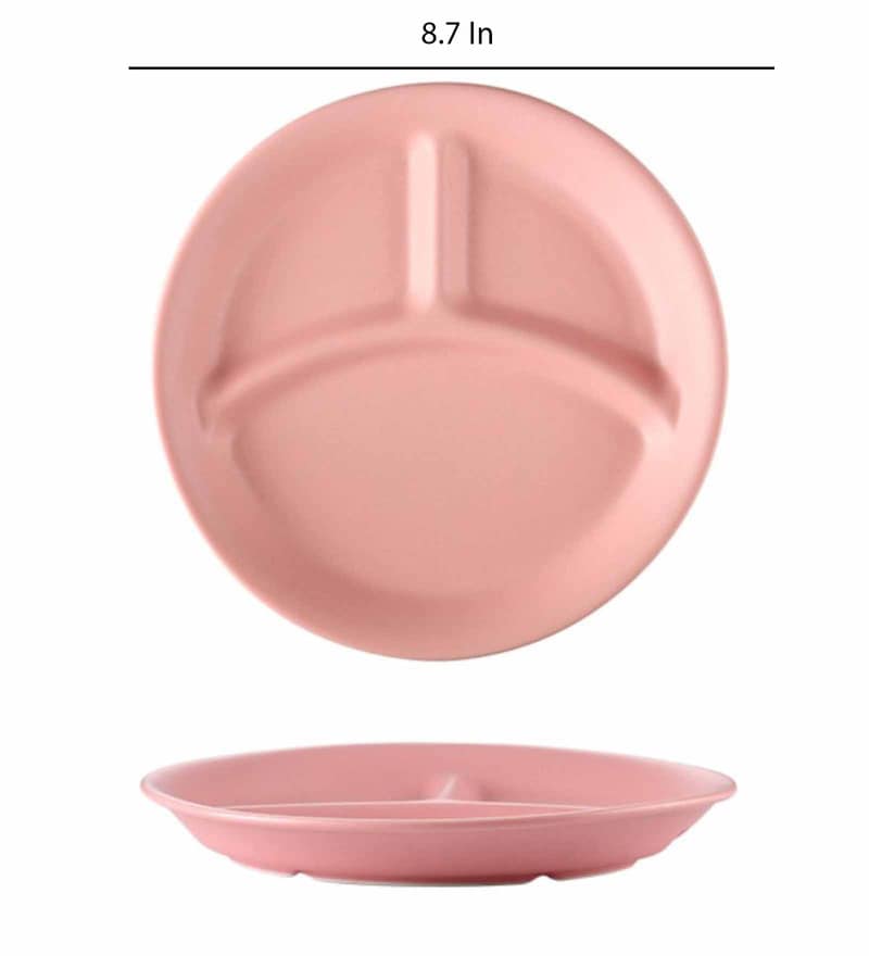 Buy Sectioned Mint 8.7 Inch Ceramic Dinner Plate by Nestasia Online