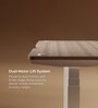 Se Desk Pro Height Adjustable Desk In Light Brown Finish (1200X600mm) Se Desk Pro Height Adjustable Desk In Light Brown Finish (1200X600mm)
