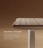 Se Desk Pro Height Adjustable Desk In Light Brown Finish (1500X750mm) Se Desk Pro Height Adjustable Desk In Light Brown Finish (1500X750mm)