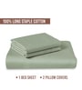 Sea Foam Solid 400 TC Cotton King Sized Bedsheet with 2 Pillow Covers