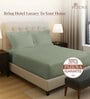 Sea Foam Solid 400 TC Cotton Queen Sized Fitted sheet with 2 Pillow Covers